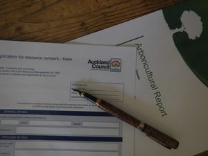 resource-consents-and-protected-trees